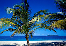 travel_caribbean_beach2x2web
